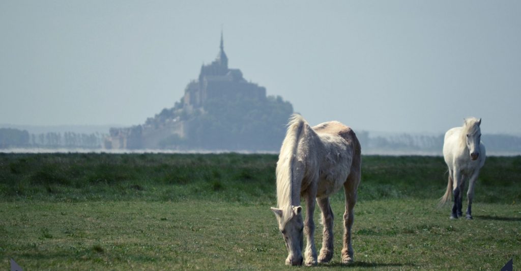 Mont Saint-Michel baie