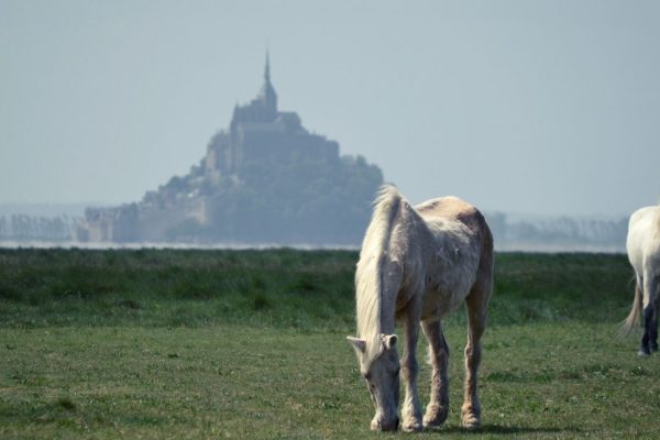 Mont Saint-Michel baie