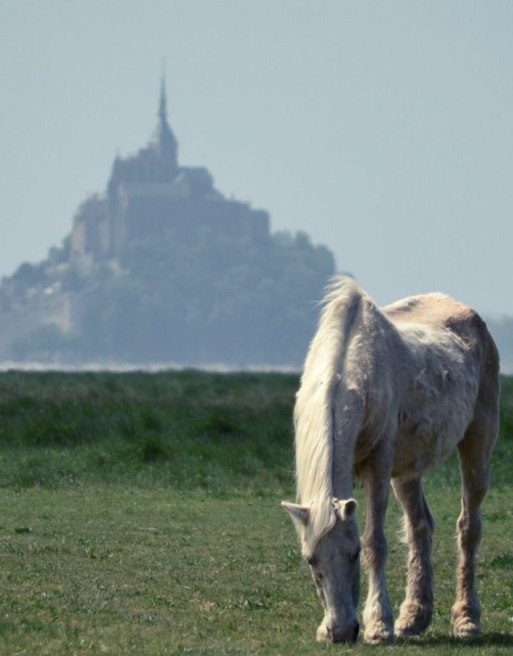 Mont Saint-Michel baie