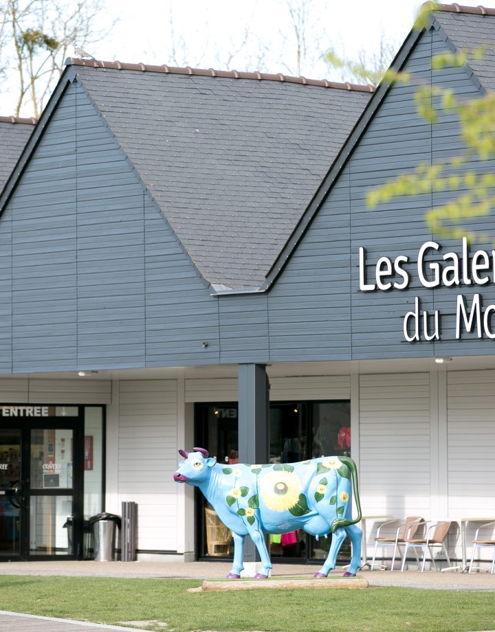 Galerie Mont Saint Michel