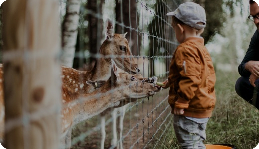 Les Parcs Animaliers