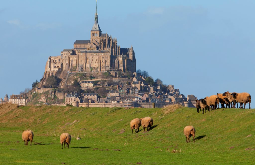 Mont Saint Michel Agneau Pre Sale